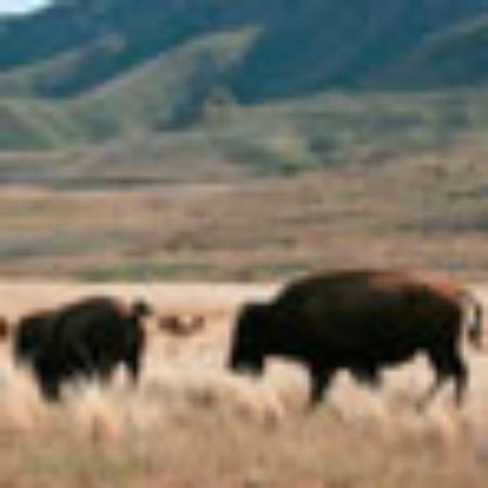 Jay Matarani Khana Khazana